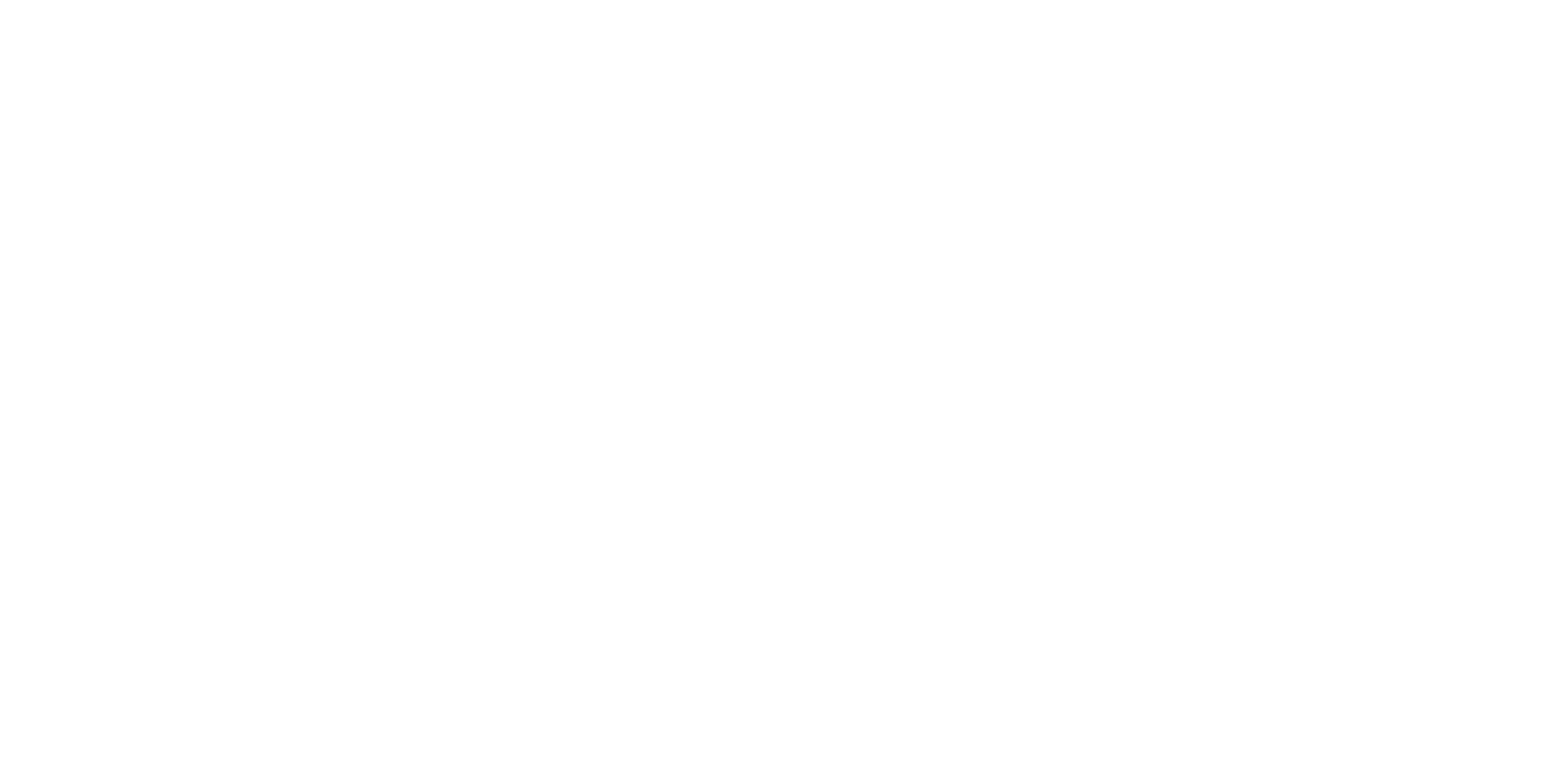 Life Echo Media Logo (Long - White)